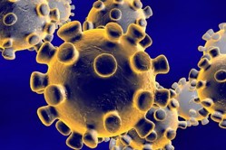 coronavirus y sus implicaciones en la traducción