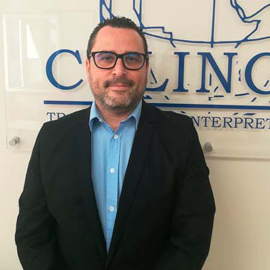 equipo_0000_david-cblingua-v1
